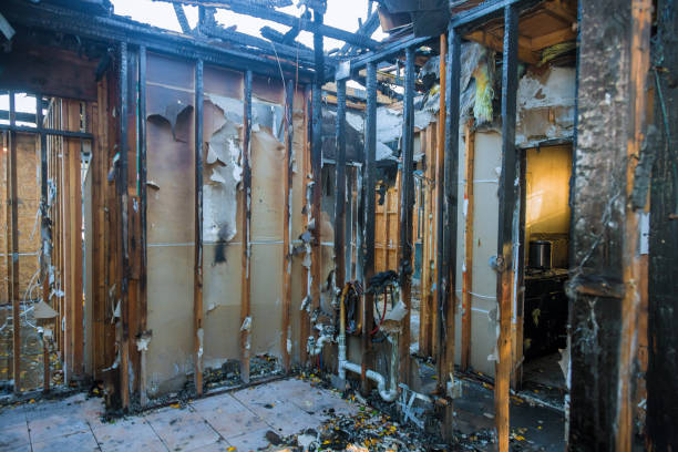Professional Soot Cleanup technician working in Mount Airy, MD